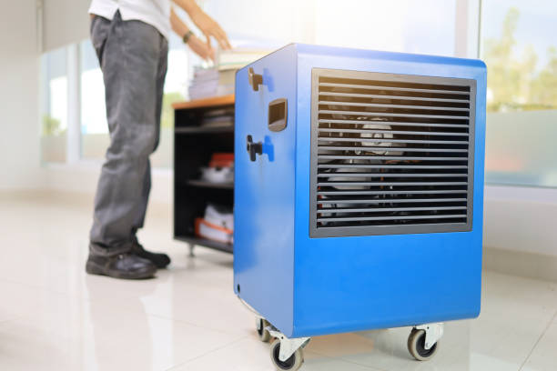 Best Emergency Mold Remediation  in Notasulga, AL