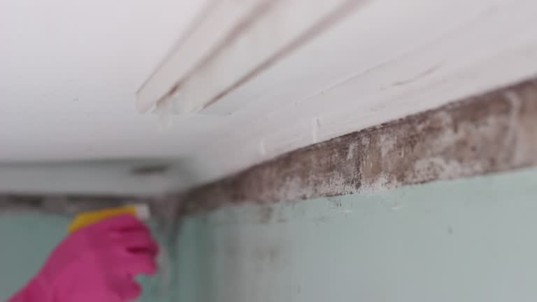 Best Indoor Air Quality Assessment  in Notasulga, AL